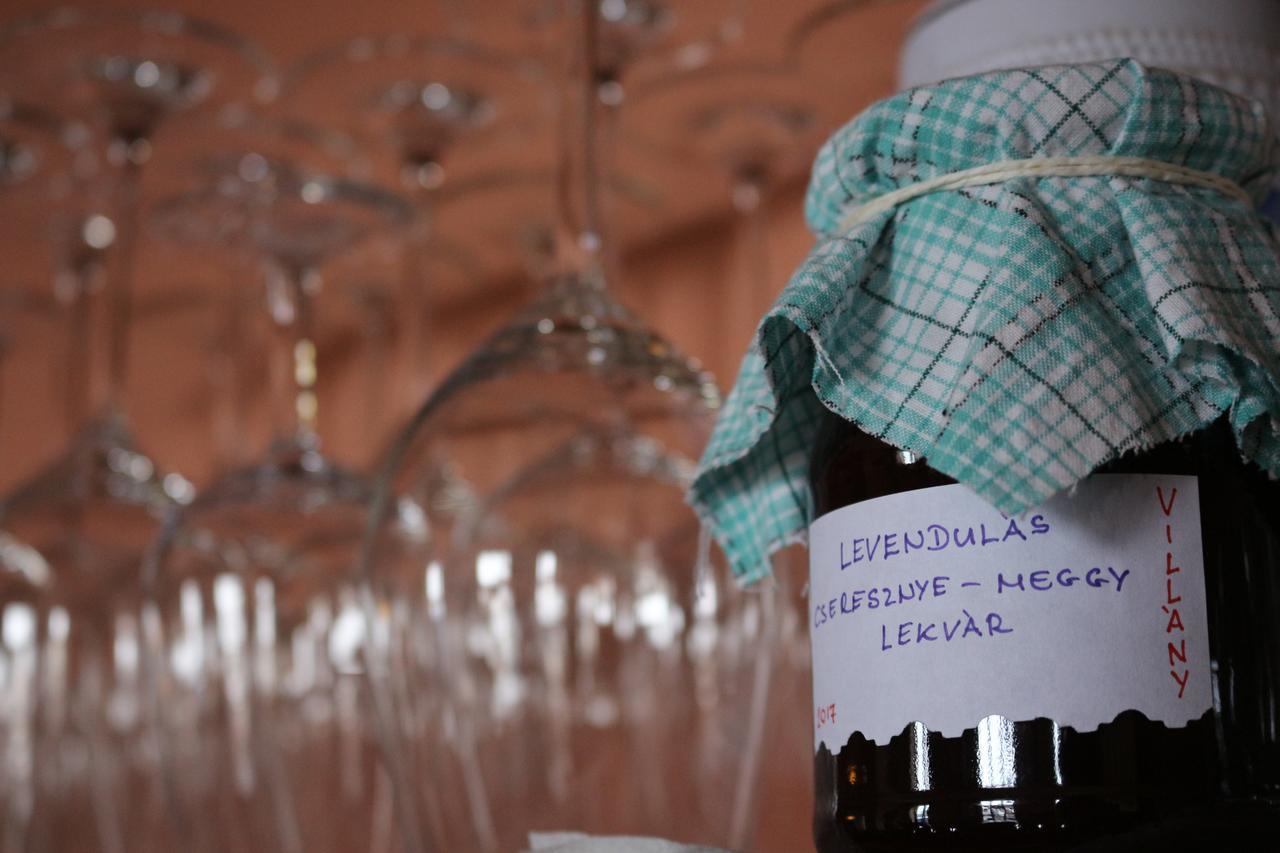 Vitényi Pince Vendégház Villány Esterno foto
